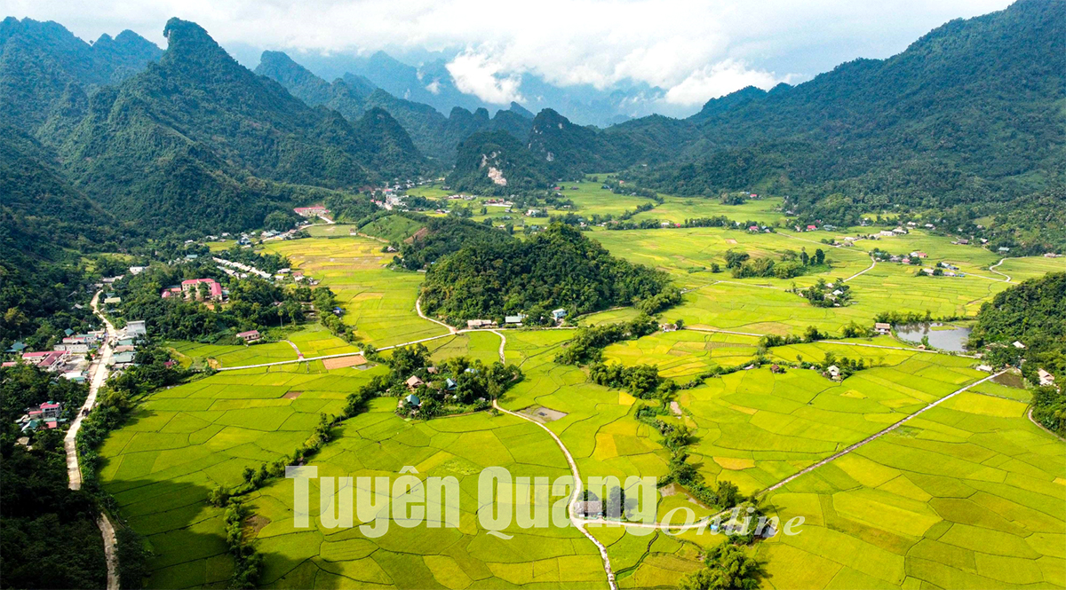 Những cánh đồng nổi tiếng ở huyện vùng cao Lâm Bình
