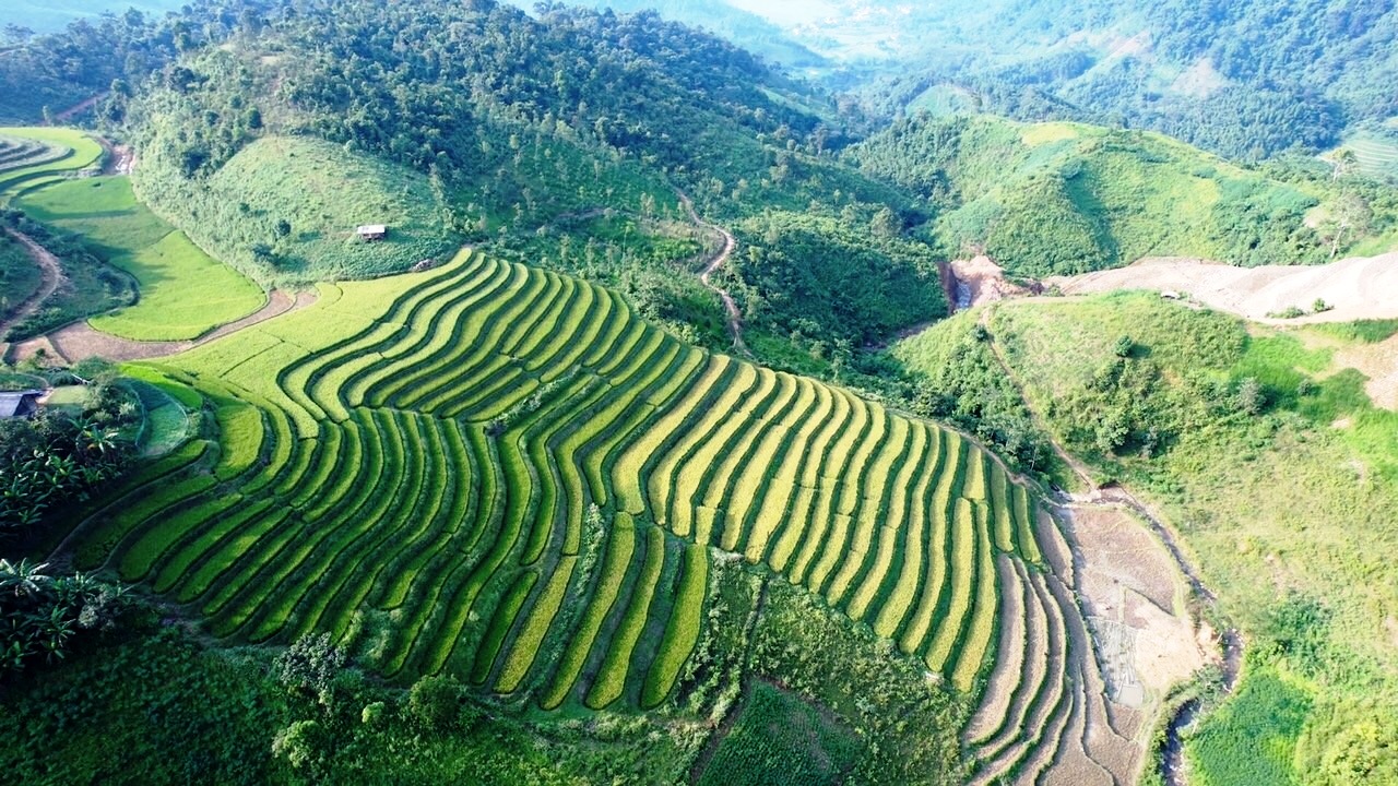 Bắc Kạn: Vẻ đẹp Mù Là mùa lúa chín Bắc Kạn: Vẻ đẹp Mù Là mùa lúa chín