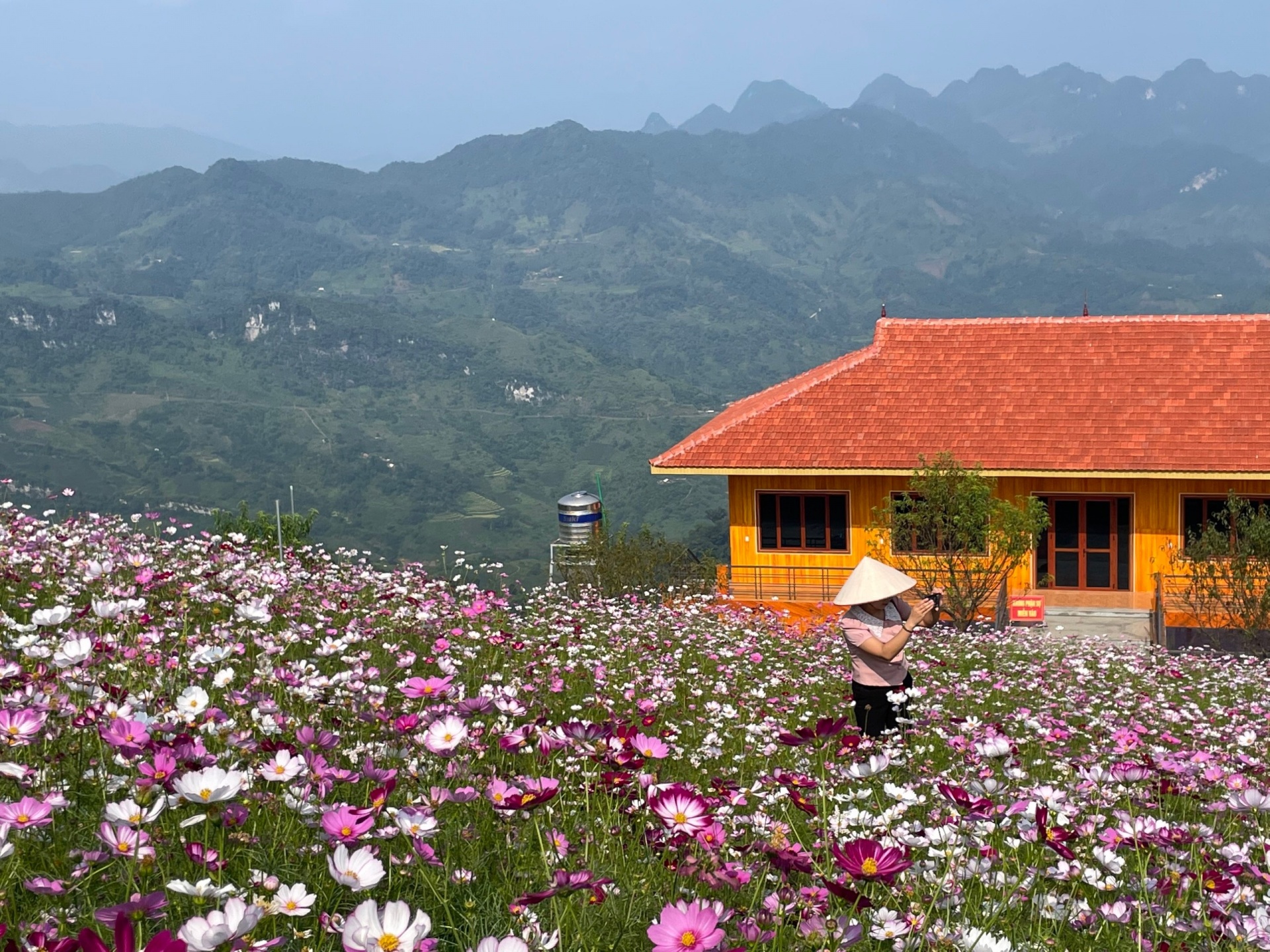 Bắc Kạn: Vẻ đẹp Mù Là mùa lúa chín Bắc Kạn: Vẻ đẹp Mù Là mùa lúa chín