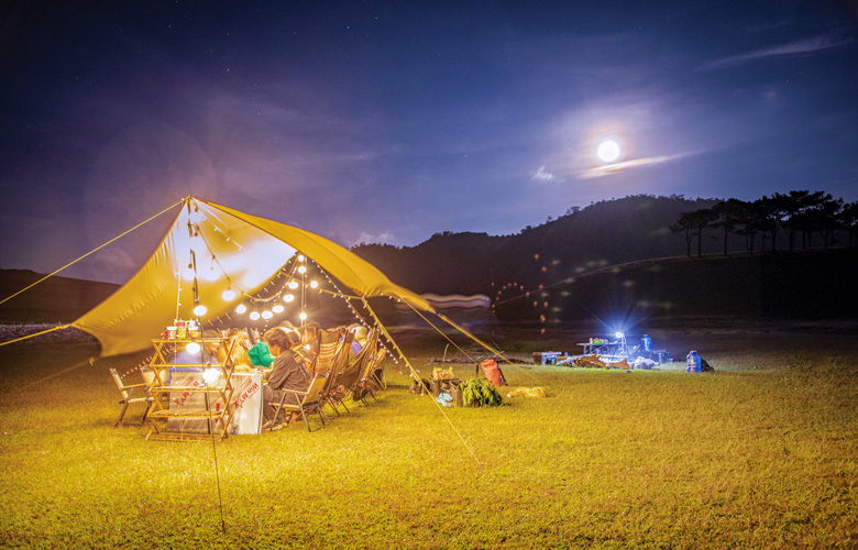Vẻ đẹp quyến rũ và thơ mộng ở thảo nguyên cỏ hồng Masara, Lạc Dương (Lâm Đồng) Vẻ đẹp quyến rũ và thơ mộng ở thảo nguyên cỏ hồng Masara, Lạc Dương (Lâm Đồng)