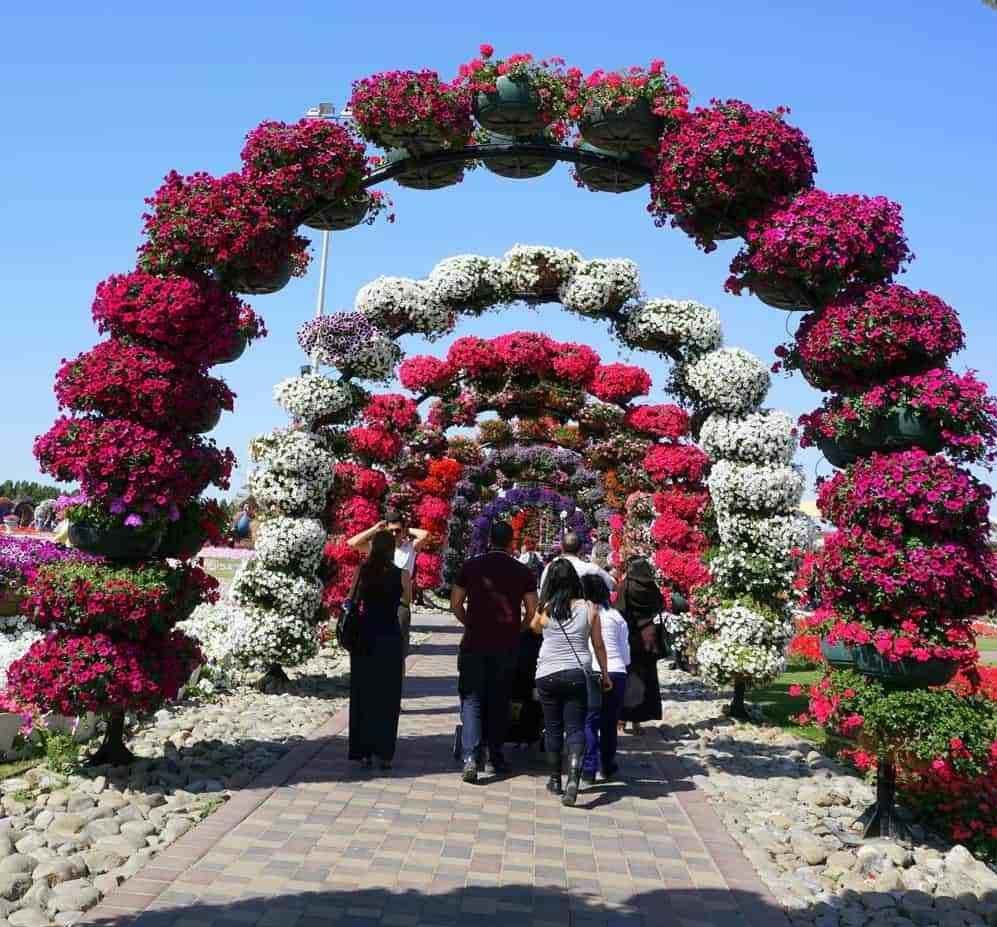 den dubai dung quen ghe tham vuon hoa lon nhat the gioi