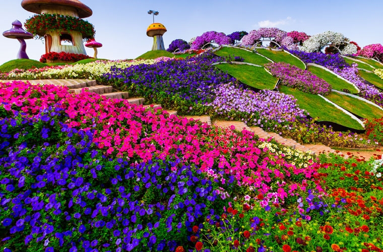 den dubai dung quen ghe tham vuon hoa lon nhat the gioi