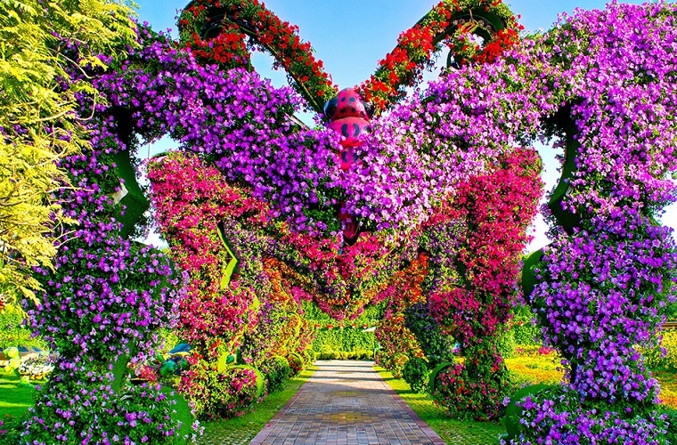 den dubai dung quen ghe tham vuon hoa lon nhat the gioi