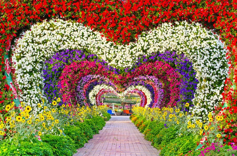 den dubai dung quen ghe tham vuon hoa lon nhat the gioi