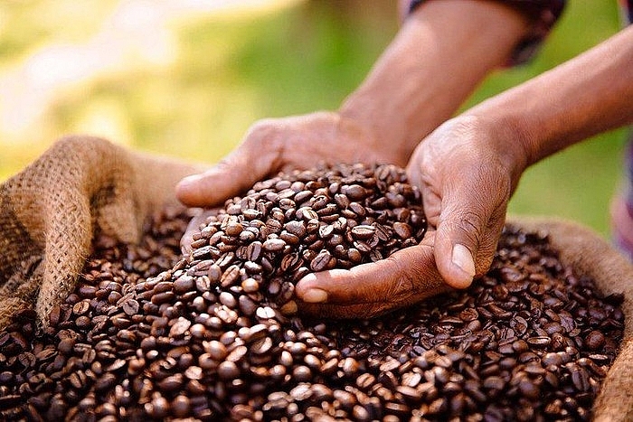 Giá cà phê hôm nay 14/3: Thị trường trong nước tăng nhẹ