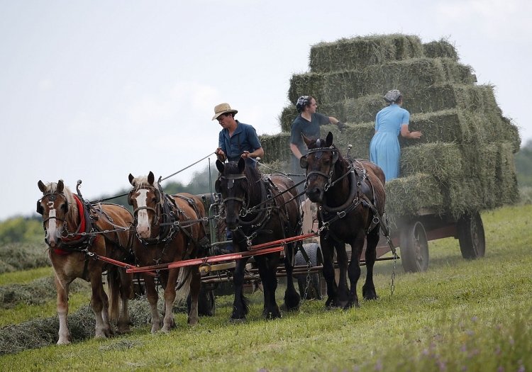Chiêm ngưỡng vẻ đẹp bất hủ, bất tận của New York