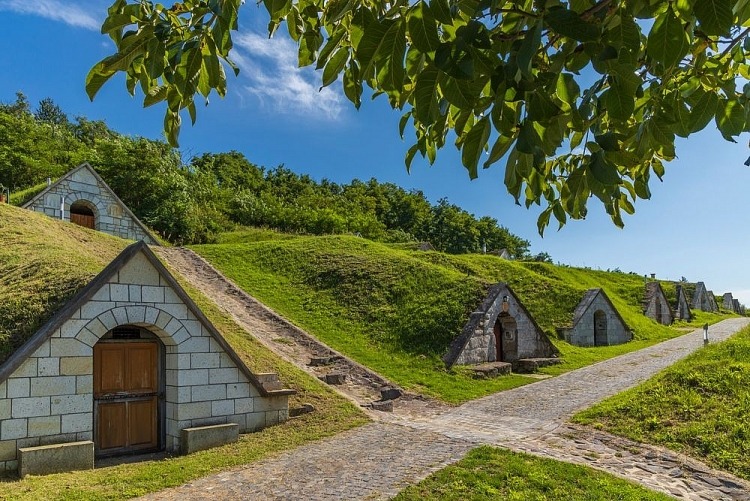 Hầm rượu nổi tiếng ở Hungary, như những ngôi nhà của người lùn