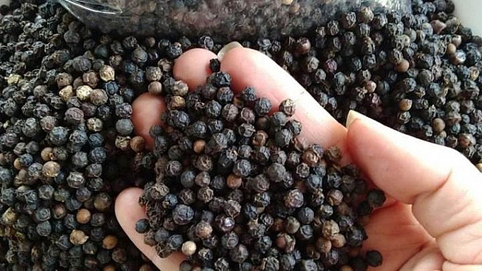 Giá tiêu cập nhật hôm nay ngày 14/12: Cao nhất 84.000 đồng/kg Giá tiêu cập nhật hôm nay ngày 14/12: Cao nhất 84.000 đồng/kg