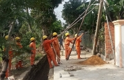 Cho mùa xuân trọn vẹn