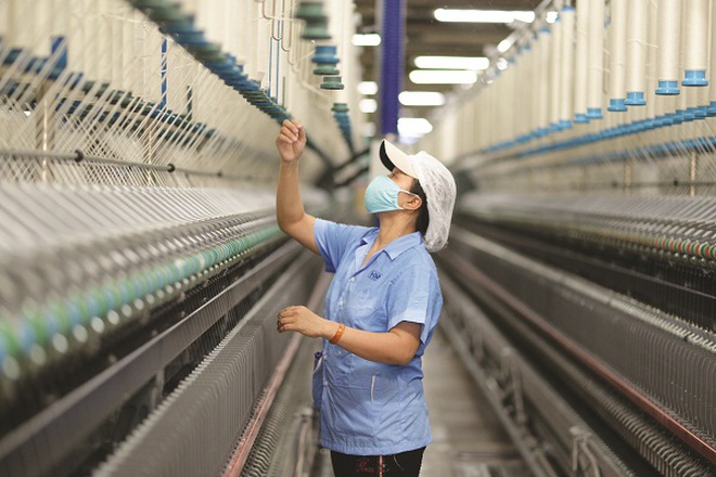 Đại bàng Việt: Khát khao xây tổ, bơm tiền cho nền kinh tế cất cánh - 3