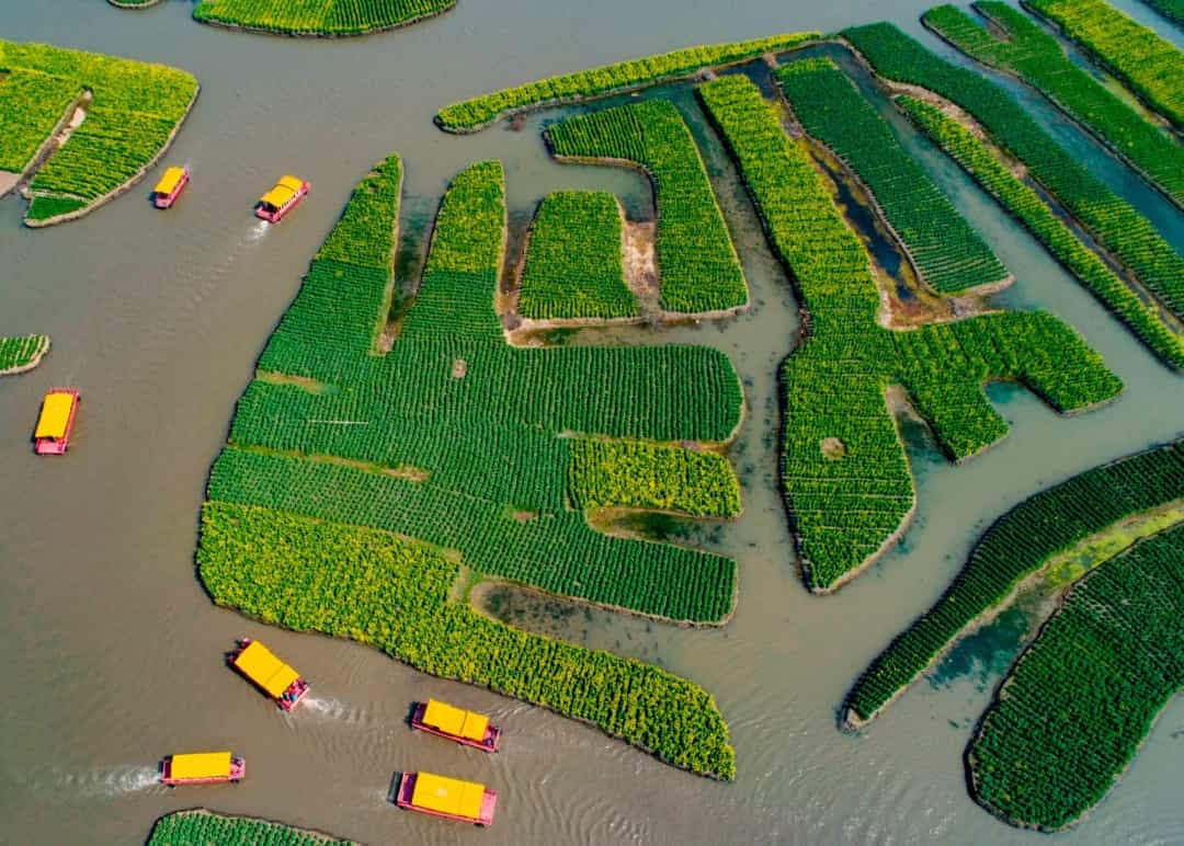 Phong cảnh hoa xuân đẹp hữu tình chỉ có ở Hưng Hóa, Trung Quốc