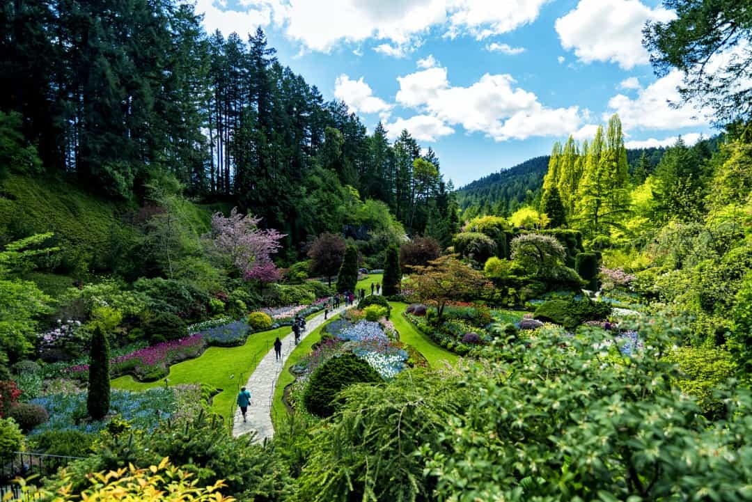 Mãn nhãn với những cánh đồng hoa đẹp ngất ngây trên thế giới