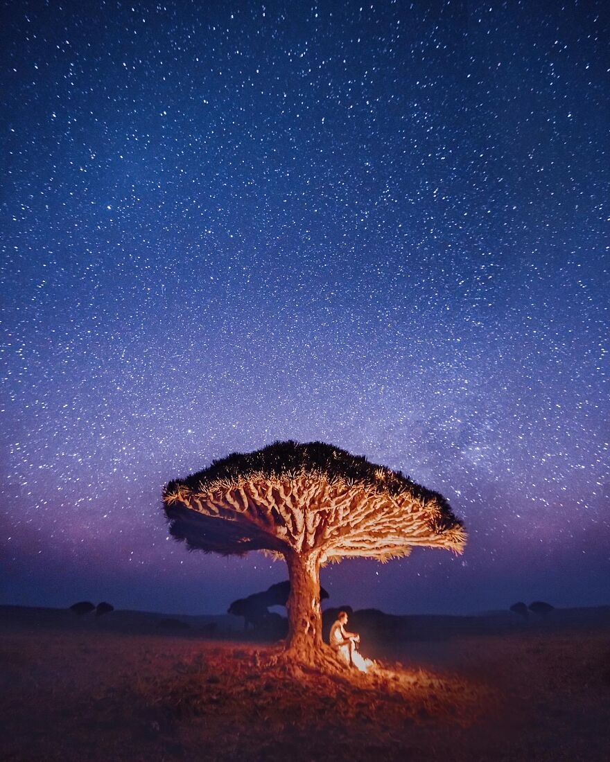 Khám phá “hòn đảo ngoài hành tinh” Socotra