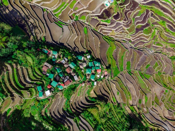 Những địa điểm 