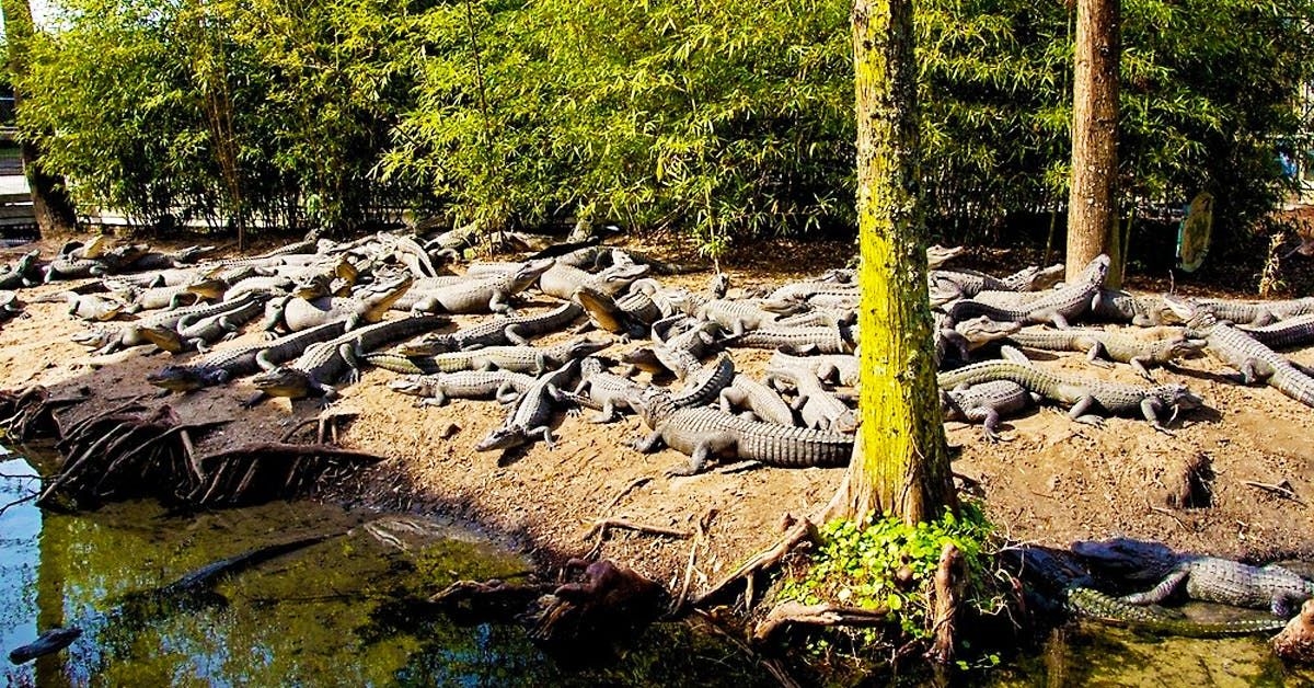 Top 6 hòn đảo mà chắc chắn bạn không bao giờ muốn đặt chân đến