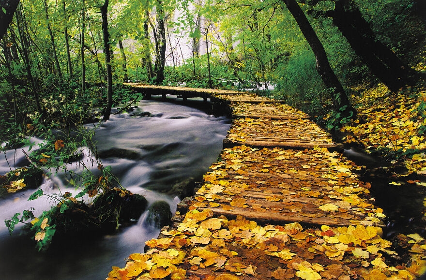 Ngắm nhìn vẻ đẹp mê hoặc của hồ Plitvice, Croatia
