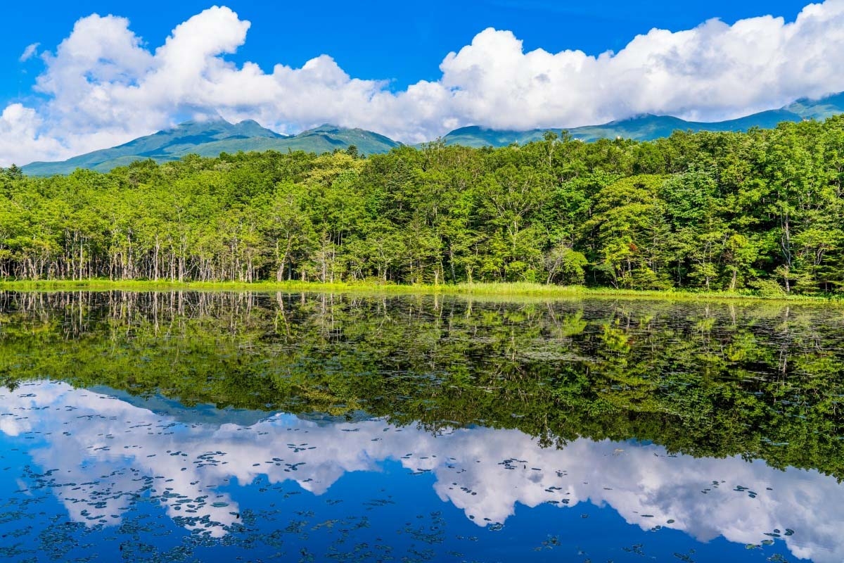 Ngỡ ngàng trước cảnh sắc mê hồn của vườn quốc gia ở Nhật Bản Ngỡ ngàng trước cảnh sắc mê hồn của vườn quốc gia ở Nhật Bản