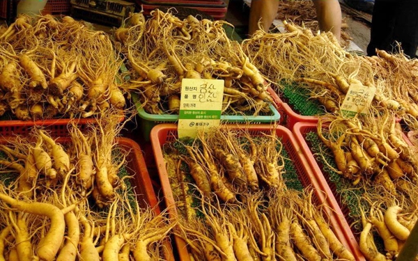 Ghé thăm 5 khu chợ nổi tiếng ở Seoul, Hàn Quốc