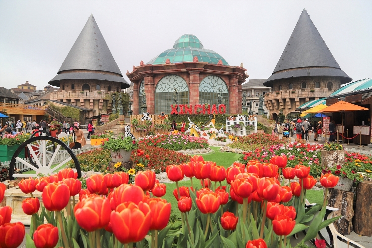 le hoi hoa xuan tai ba na hills