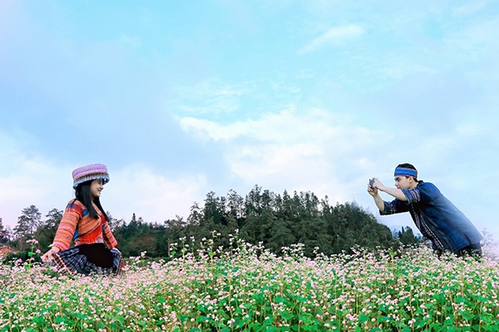 hoa tam giac mach hut hon du khach