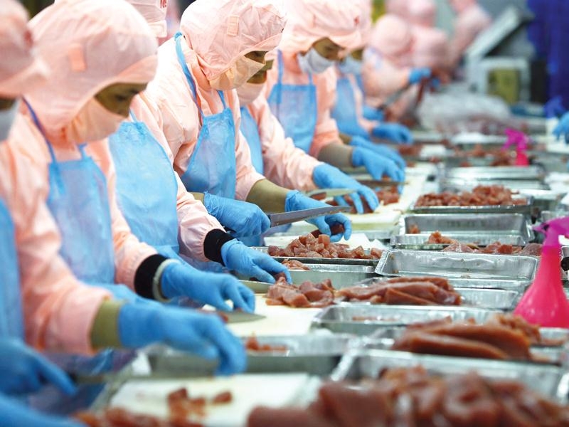 FTA - Chiến lược thị trường hiệu quả