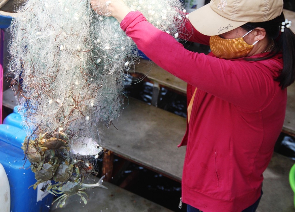 Thừa Thiên Huế: Đầm Chuồn mùa đẹp nhất năm Thừa Thiên Huế: Đầm Chuồn mùa đẹp nhất năm