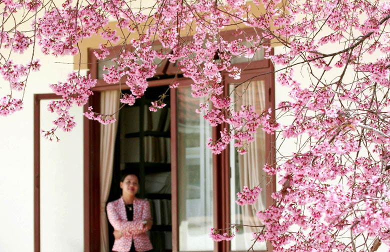 Đà Lạt, từ ô cửa biệt thự