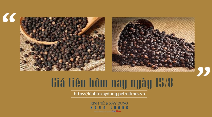 Giá tiêu hôm nay ngày 15/8: Giảm nhẹ 500 đồng/kg