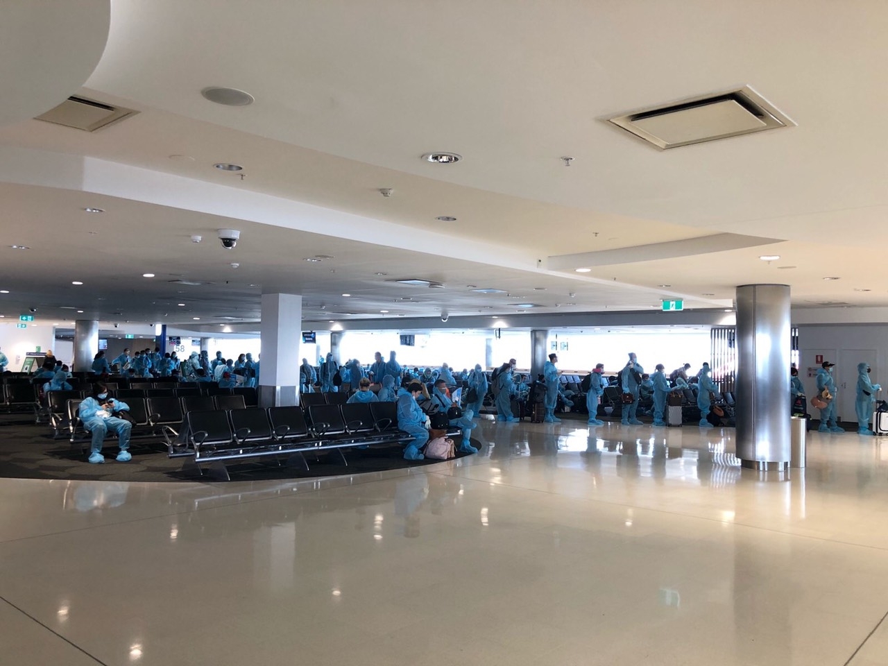 ban-tin-ve-viec-dua-cong-dan-viet-nam-tu-uc-va-new-zealand-ve-nuoc