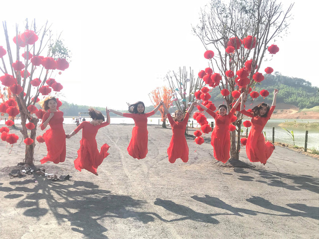 nghe an hang van du khach do ve canh dong hoa dip tet duong lich