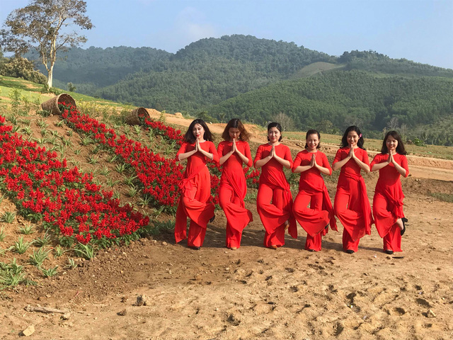 nghe an hang van du khach do ve canh dong hoa dip tet duong lich