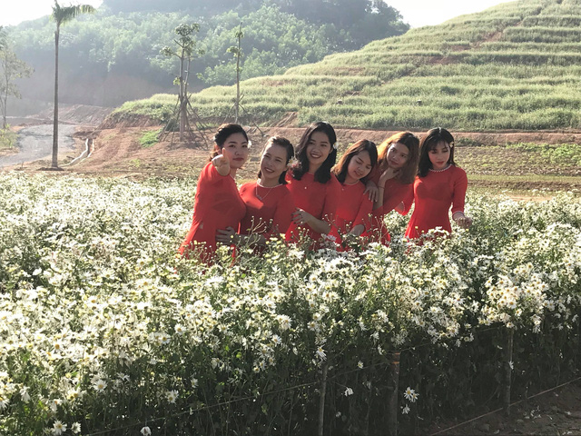 nghe an hang van du khach do ve canh dong hoa dip tet duong lich