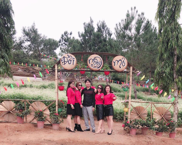 nghe an hang van du khach do ve canh dong hoa dip tet duong lich