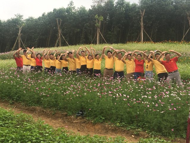 nghe an hang van du khach do ve canh dong hoa dip tet duong lich