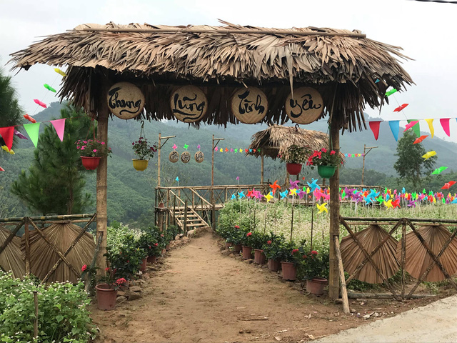 nghe an hang van du khach do ve canh dong hoa dip tet duong lich