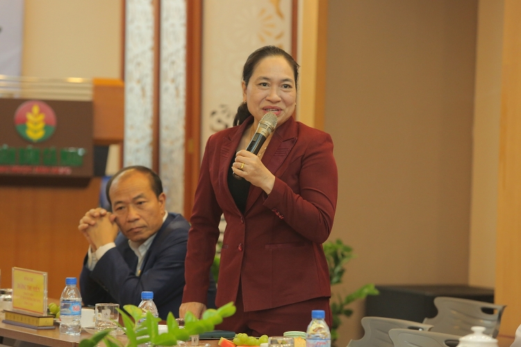 Sức trẻ từ công trình thanh niên Cụm Khí – Điện – Đạm Cà Mau