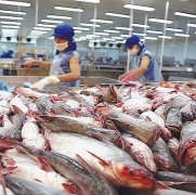 dieu tra ban pha gia doi voi vat lieu han xuat xu trung quoc thai lan va malaysia